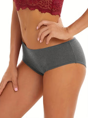 4 Pack Plus Size Leakproof Period Underwear Set