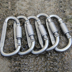 D Buckle Aluminum Alloy Key Chain for Travel and Camping