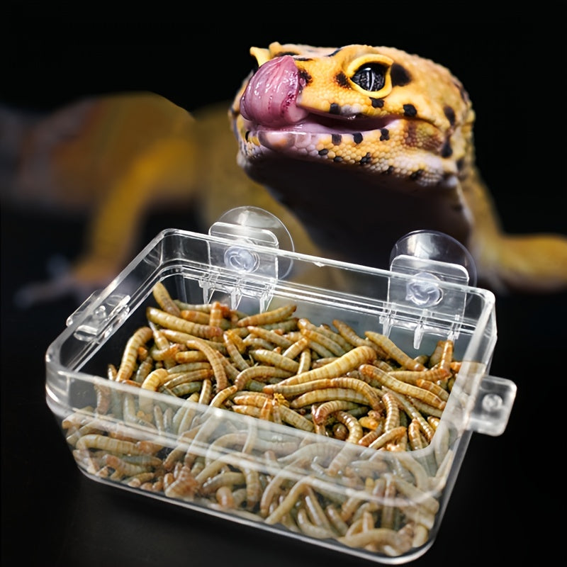 Durable Anti Escape Feeder for Reptiles - Ideal for Lizards, Geckos, Chameleons