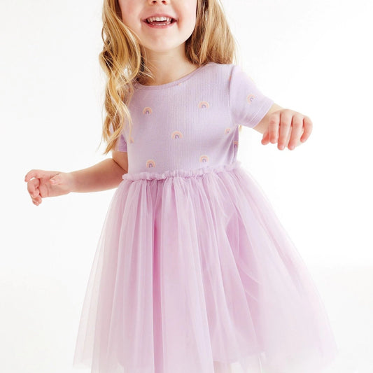 Toddler Girls Rainbow Graphic Mesh Princess Dress For Party