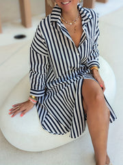 Stripe Print Polo Neck Shirt Dress With Pockets