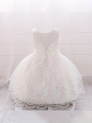 Infant Toddler Girls Pompadour Dress Embroidery Mesh Flower Girl Birthday Dress