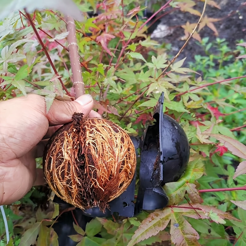 Plant Rooting Device Air Layering Pods Grow Box for Propagation & Root Control