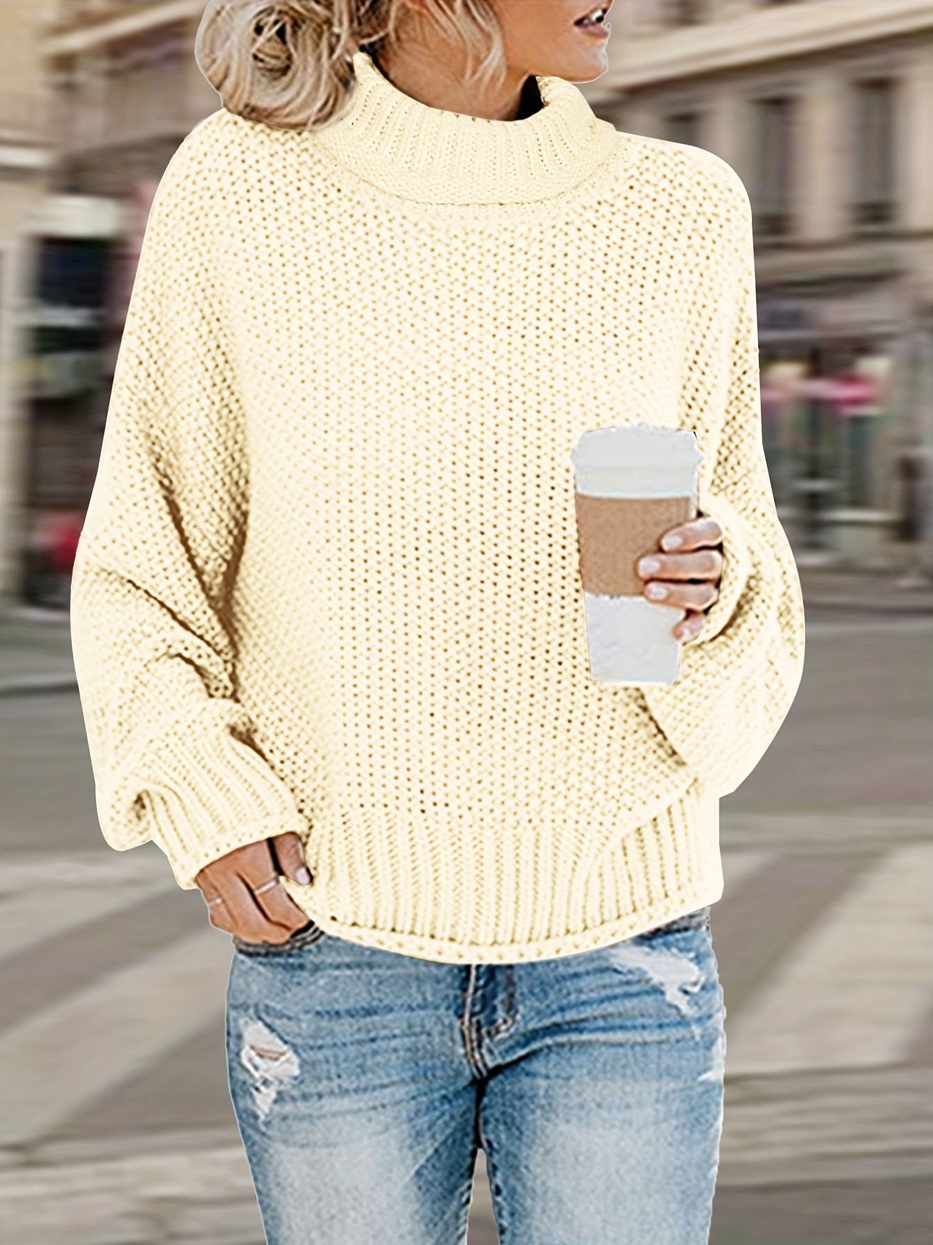 Solid Long Sleeve Turtle Neck Sweater