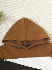 Boy's 2pcs Hoodie & Sweatpants Set Block Long Sleeve Top Casual Outfits