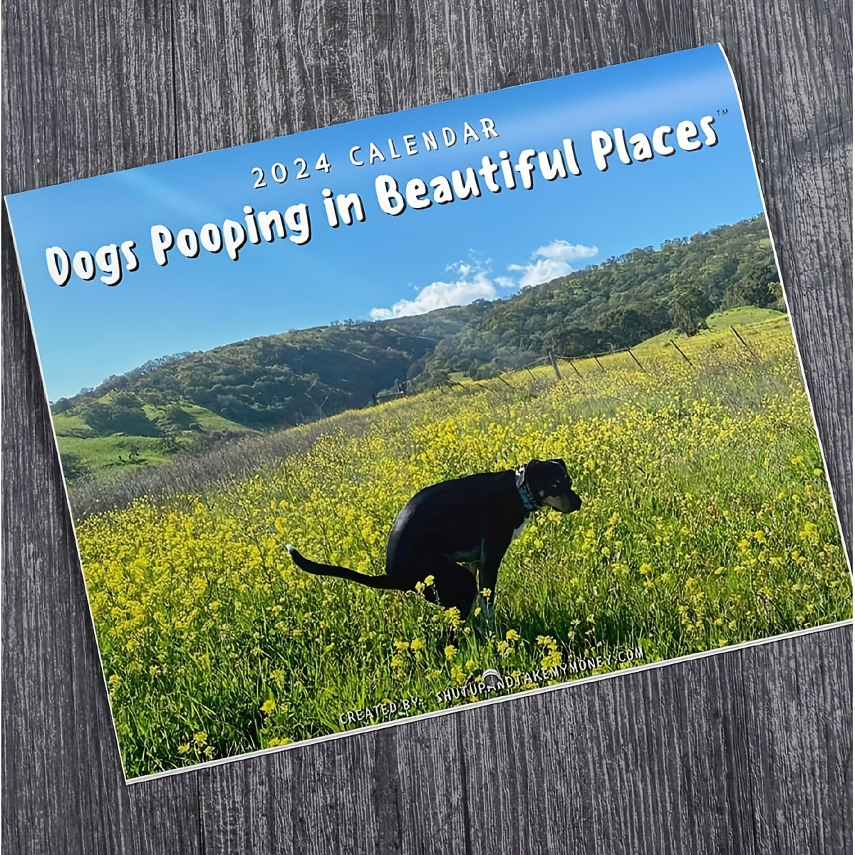 1pc Year Dog Poop Calendar Funny Christmas Year