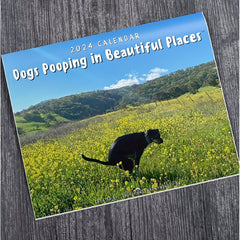 1pc Year Dog Poop Calendar Funny Christmas Year