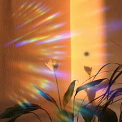 Translucent Colorful Sunlight Electrostatic Window Stickers