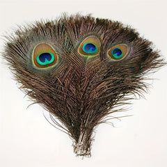 15pcs Artificial Peacock Feather 10-12 Inches DIY Handicra