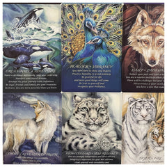 Dragonfly Oracle Cards: Creative Animals Tarot for Party Game