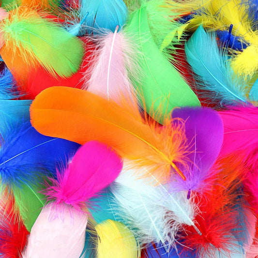 450pcs Colorful Feathers For Craft Wedding Home Party Decorations 10 Colors