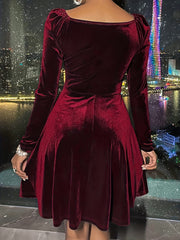 Velvet Ruched Long Sleeve V Neck A line Dress