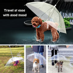 Adjustable Transparent Pet Umbrella for Rainy Dog Walking