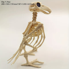 Halloween Crow Skeleton Venue Props