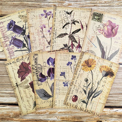 8pcs Vintage Botanical Flower Nature Scrapbook Papers DIY Crafts