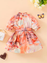 Baby Girls Abstract Painting Print Puffy Sleeve Dress