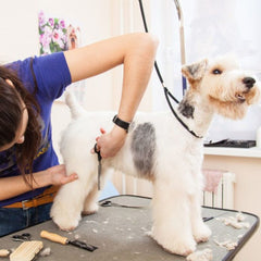 Pet Grooming Table Sling Accessory