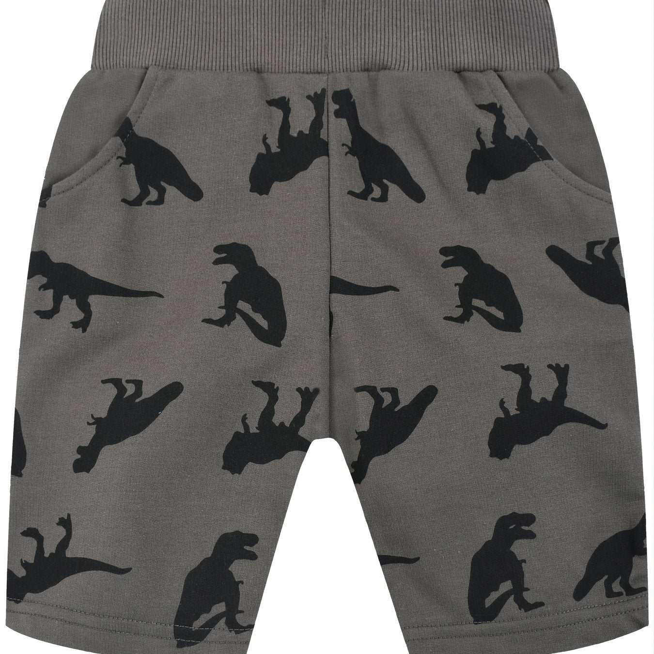 Boys Dinosaur Print Elastic Waist Casual Loose Pockets Shorts