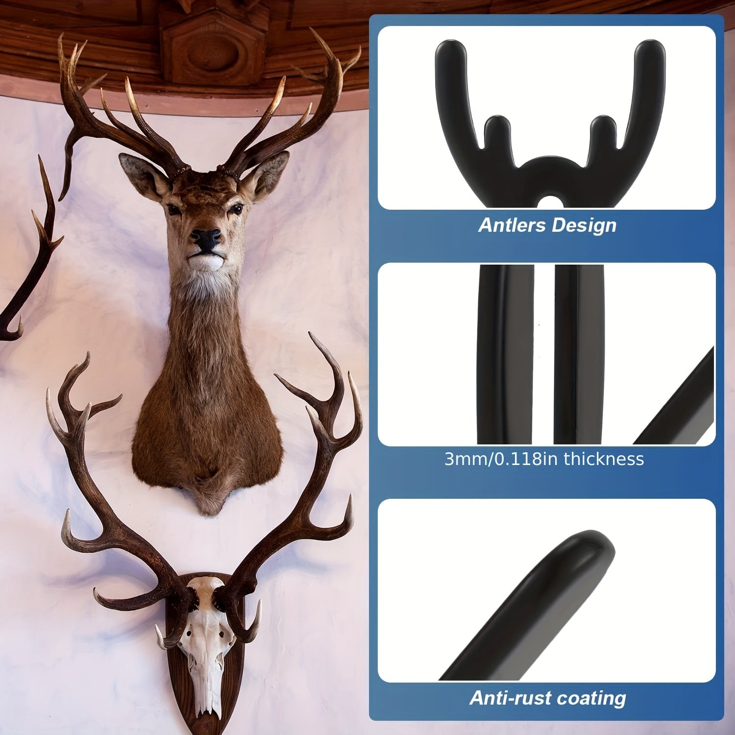 European Mount Skull Hanger for Deer Head Display