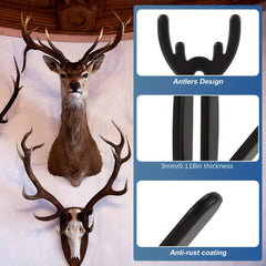 European Mount Skull Hanger for Deer Head Display