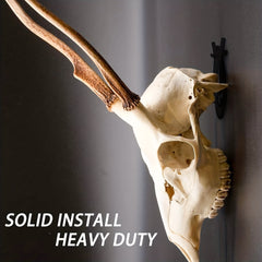 European Mount Skull Hanger for Deer Head Display