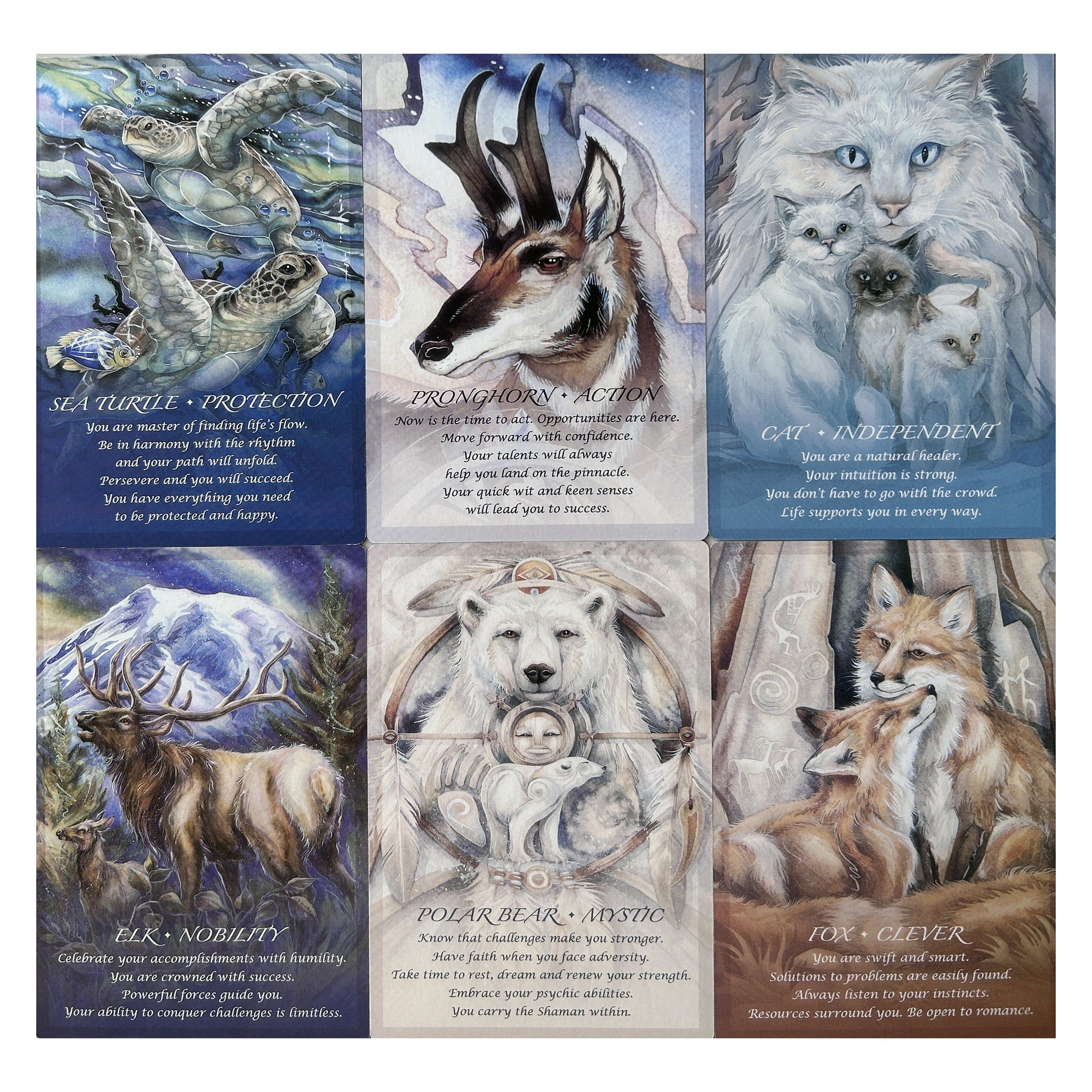 Large Oracle Cards with Learning Guide - Fortune Telling Game