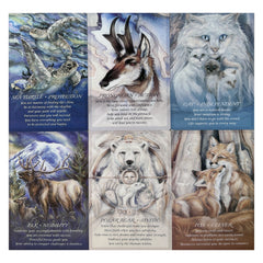 Large Oracle Cards with Learning Guide - Fortune Telling Game