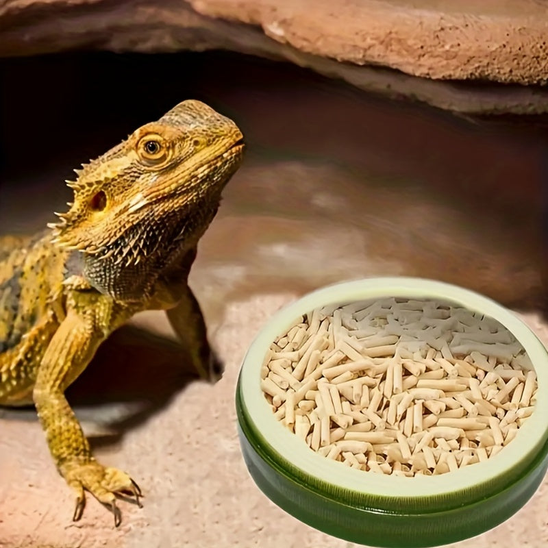 Amphibian Food & Water Feeding Basin Lizard Housekeeping Bowl