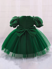 Mesh Puffy Gown Dress for Christening Wedding Flower Girl Princess