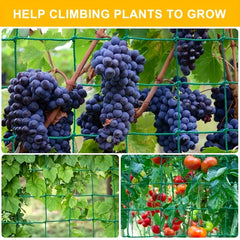 Heavy Duty Garden Trellis Netting for Climbing Plants