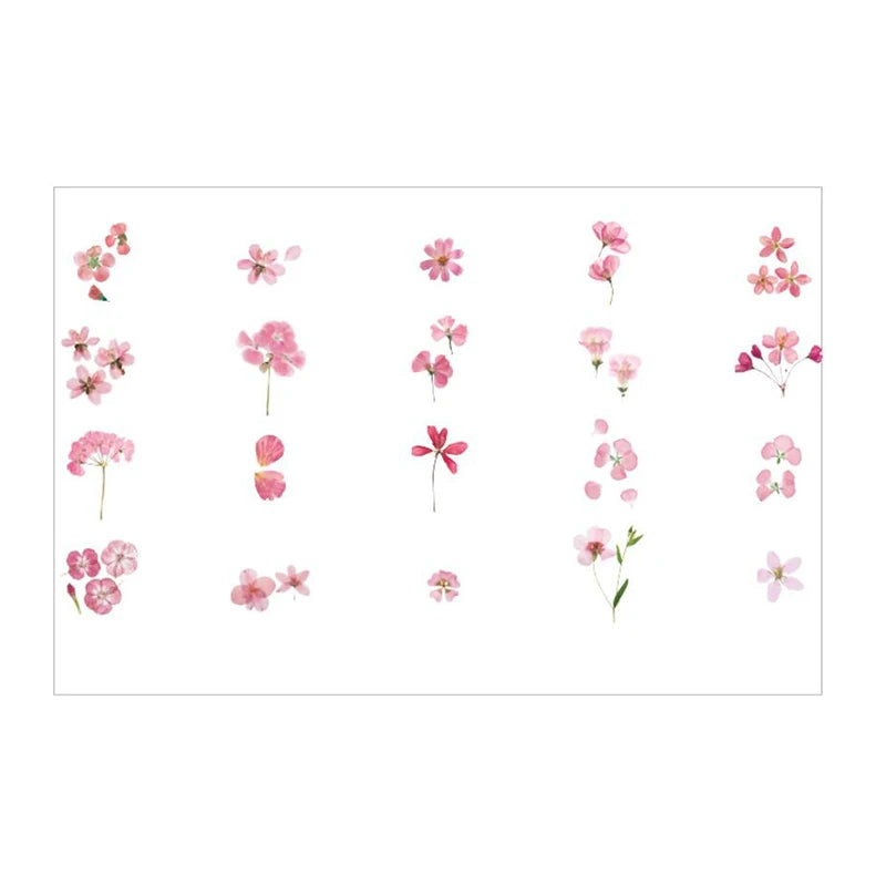 img_7424292