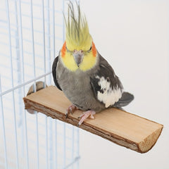 Natural Wood Parrot Perch Station Board for Bird Cage