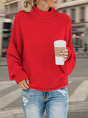 Solid Long Sleeve Turtle Neck Sweater