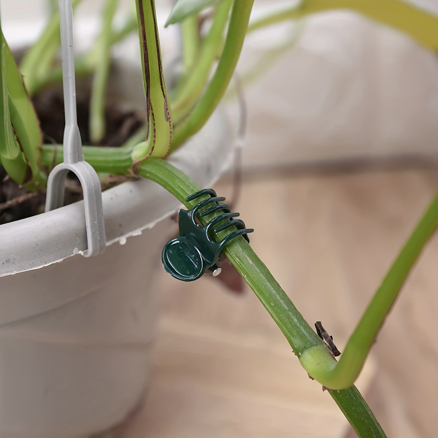 20pcs Plant Vine Flower Clip for Garden Patio Indoor & Outdoor