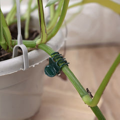 20pcs Plant Vine Flower Clip for Garden Patio Indoor & Outdoor