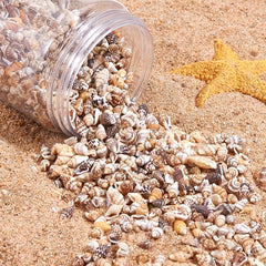 Natural Shell Small Conch Mixed Set Drift Bottle Fish Tank Landscaping