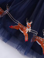 Girls' Christmas Princess Tutu Dress with Embroidered Tulle Stitching