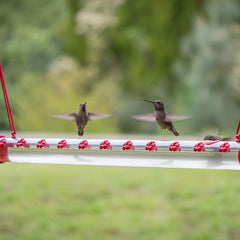 Decorative Hummingbird Water Feeder Stake