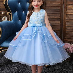 Girls Princess Dress Sleeveless Flower Embroidery Mesh Tutu Dress