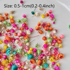 280pcs Small Star Flowers Dried Pressed Flowers Bulk For Resin DIY Garland