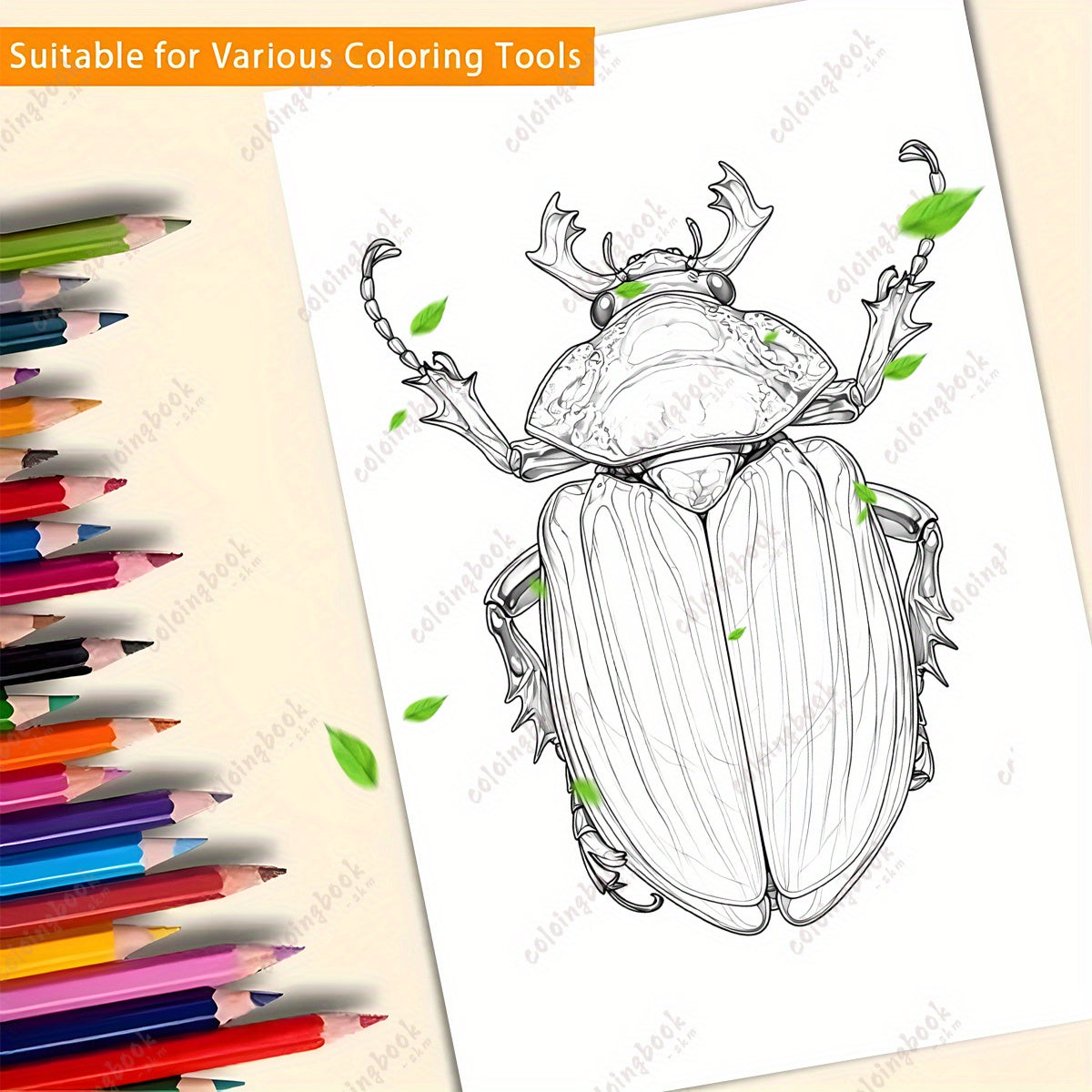 Deluxe Insect Painting Coloring Book for Adults - 22 Pages