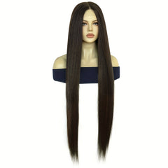 Long Straight Hair Wine Red Brown Coffee Wig Synthetic Lace Front Wig