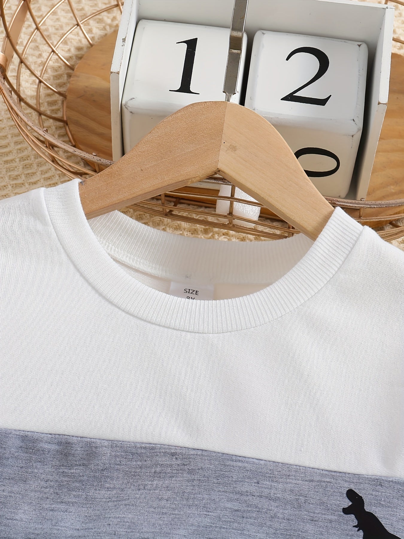 Dino Print Boys Sweatshirt Long Sleeve Crew Neck Tops