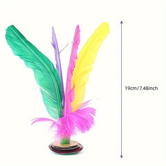 Chinese Jian ZI Colorful Feather Shuttlecock for Exercise
