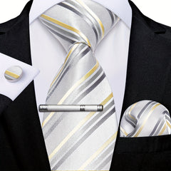 Men's Silk Tie Striped Solid Paisley Necktie Hanky Set