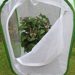 Pop Up Net Insect Cage For Butterflies Moths Stick Insects Caterpillars