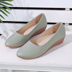 Women's Low Wedge Soft Sole Pointed Toe Shoes