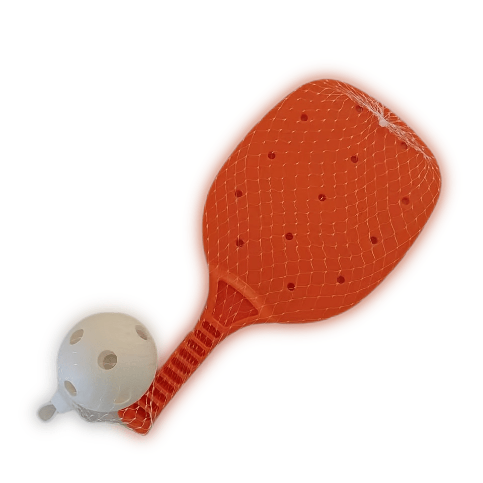Pickleball Set for Indoor & Outdoor Training