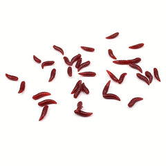 100pcs Maggot Grub Soft Lure Protein Soft Bait Worm Fishing Lures