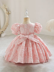 Baby Girls Flower Bowknot Princess Dress Clothes